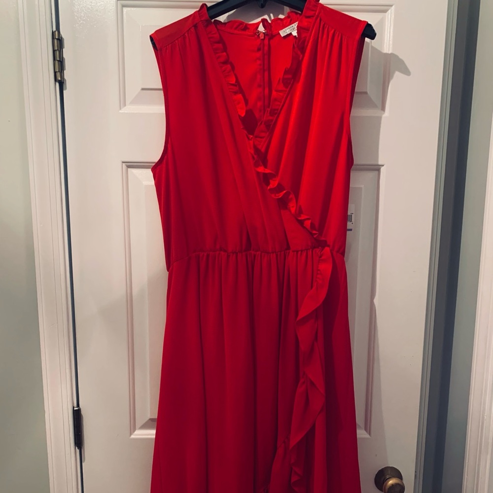 Red Dress - Picture 2 of 6
